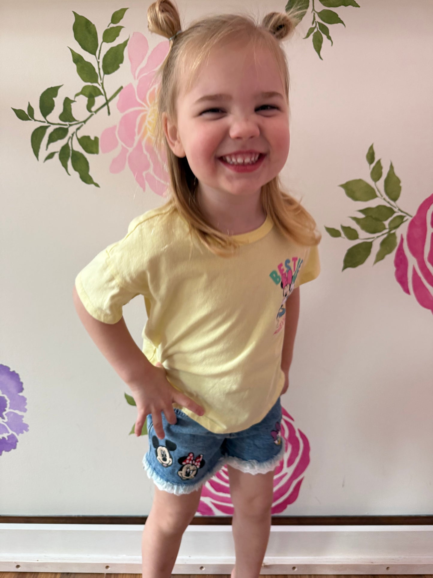 Disney Embroidered Cat & Jack Shorts