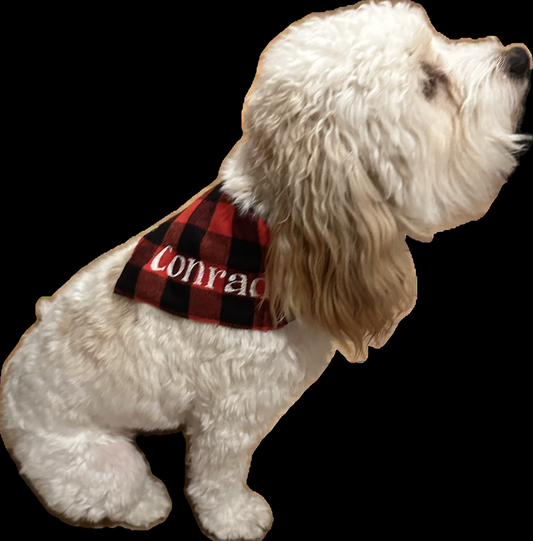 Custom Embroidered Dog Bandana